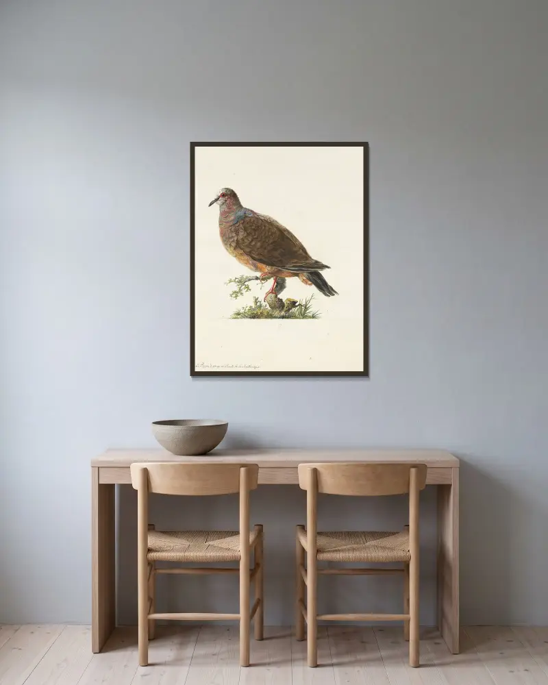 Dessins originaux de 12 pigeons étrangers, inconnus et recueillis par le voyageur Le Vaillant Pl.07 av François Levaillant inramad på en vägg