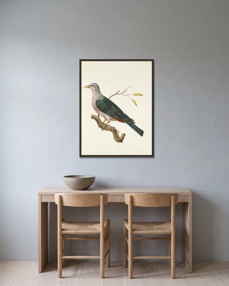 Dessins originaux de 12 pigeons étrangers, inconnus et recueillis par le voyageur Le Vaillant Pl.12 av François Levaillant inramad på en vägg