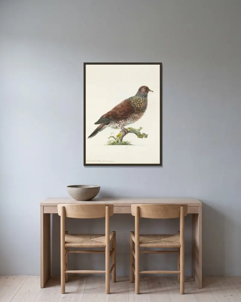 Dessins originaux de 12 pigeons étrangers, inconnus et recueillis par le voyageur Le Vaillant Pl.09 av François Levaillant inramad på en vägg