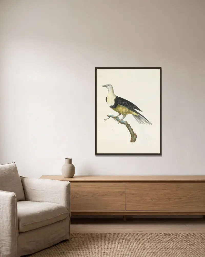 Dessins originaux de 12 pigeons étrangers, inconnus et recueillis par le voyageur Le Vaillant Pl.03 av François Levaillant inramad på en vägg