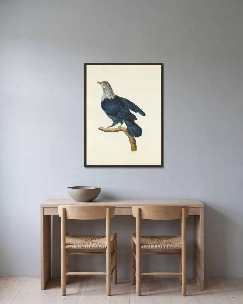 Dessins originaux de 12 pigeons étrangers, inconnus et recueillis par le voyageur Le Vaillant Pl.11 av François Levaillant inramad på en vägg