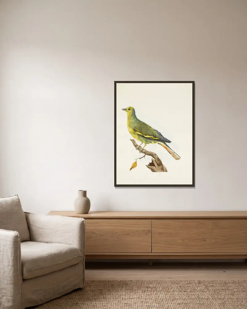 Dessins originaux de 12 pigeons étrangers, inconnus et recueillis par le voyageur Le Vaillant Pl.06 av François Levaillant inramad på en vägg