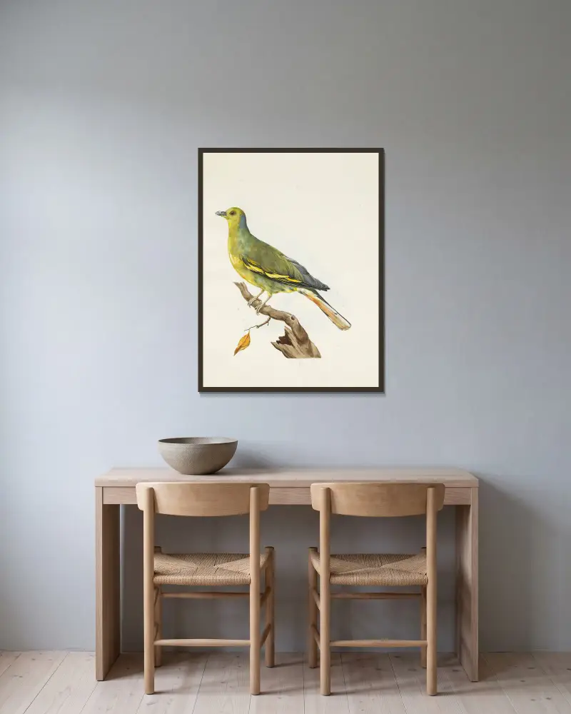 Dessins originaux de 12 pigeons étrangers, inconnus et recueillis par le voyageur Le Vaillant Pl.06 av François Levaillant inramad på en vägg