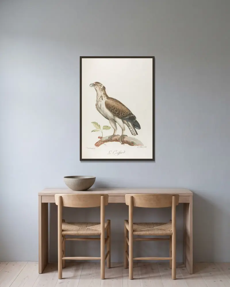 Le griffard, François Levaillant w ramie na ścianie