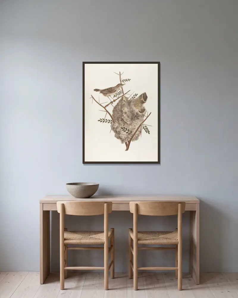 Le pinepine von François Levaillant gerahmt an einer Wand