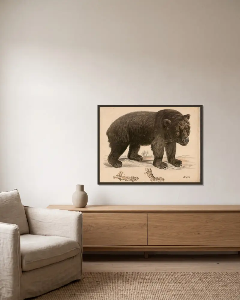 Brauner Bär (Ursus arctos) und seine Fussskelett av Franz Engleder inramad på en vägg