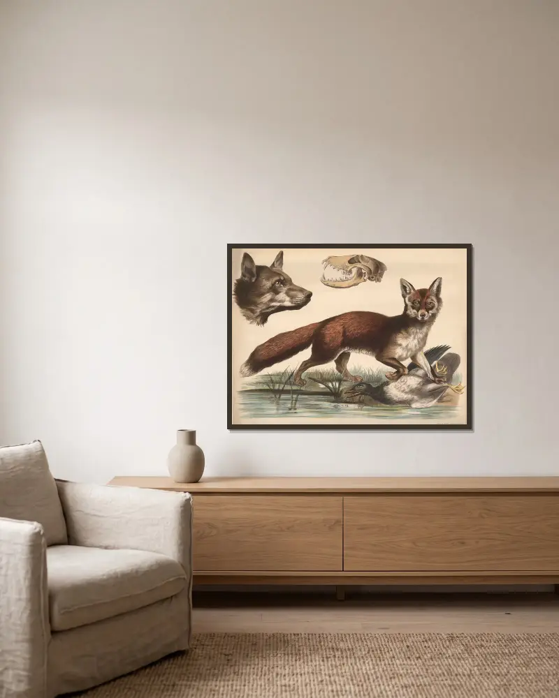 Fuchs von Franz Engleder gerahmt an einer Wand