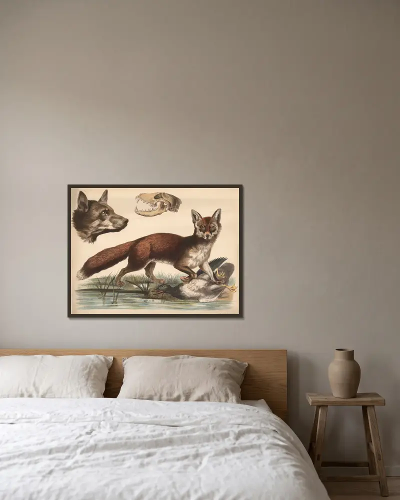 Fuchs von Franz Engleder gerahmt an einer Wand