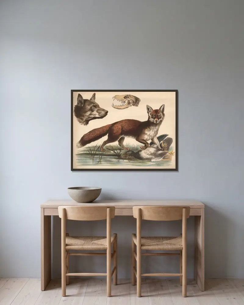 Fuchs von Franz Engleder gerahmt an einer Wand