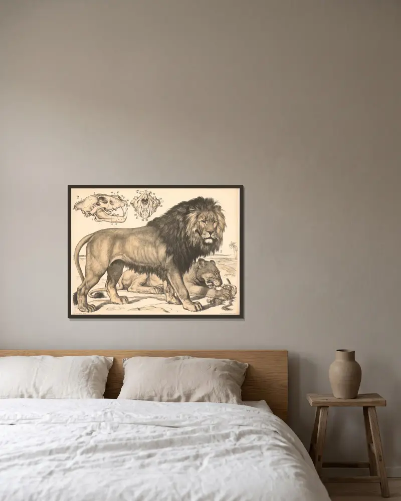 Lev (Felis leo), Franz Engleder v rámu na stěně