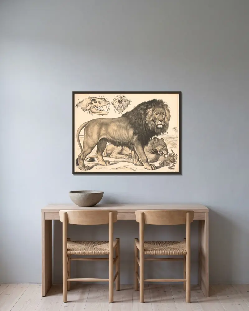 Lev (Felis leo), Franz Engleder v rámu na stěně
