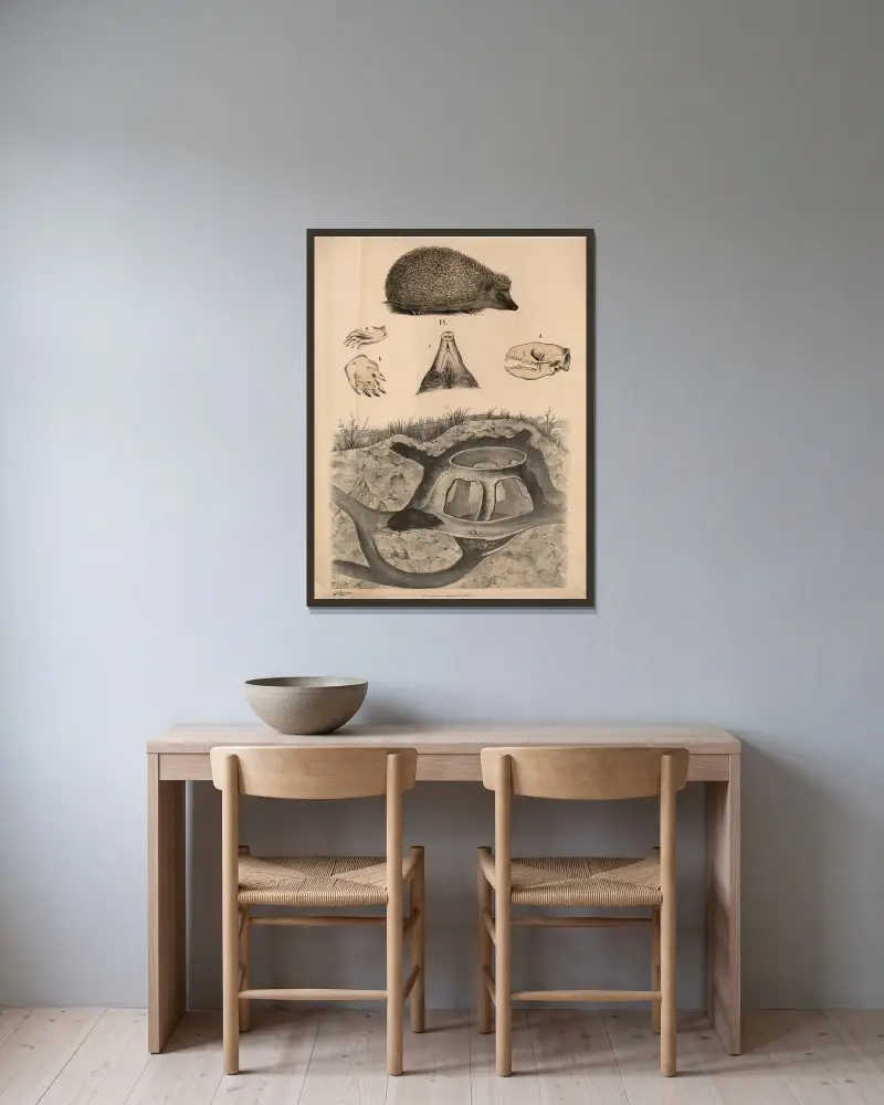 Mole von Franz Engleder gerahmt an einer Wand