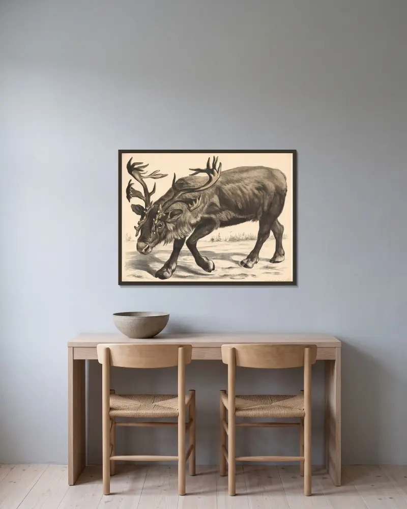 Ren (Tarandus rangifer), Franz Engleder w ramie na ścianie