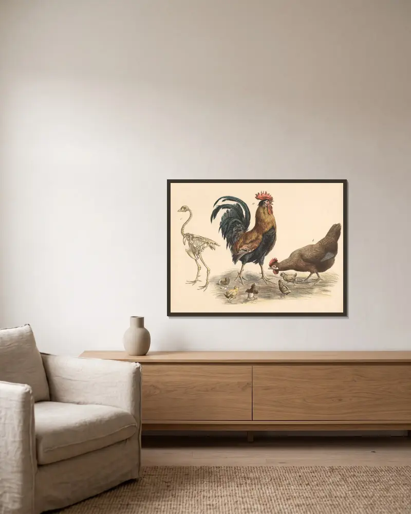 Hahn, Henne von Franz Engleder gerahmt an einer Wand