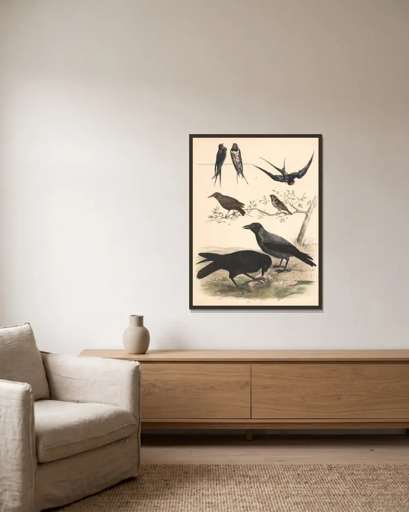 Sparrow, starling, swallow, raven, crow av Franz Engleder inramad på en vägg