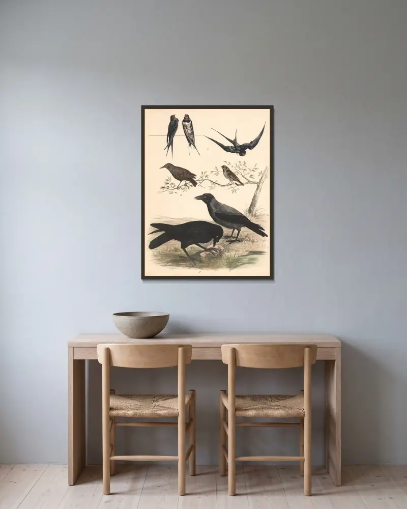 Sparrow, starling, swallow, raven, crow av Franz Engleder inramad på en vägg