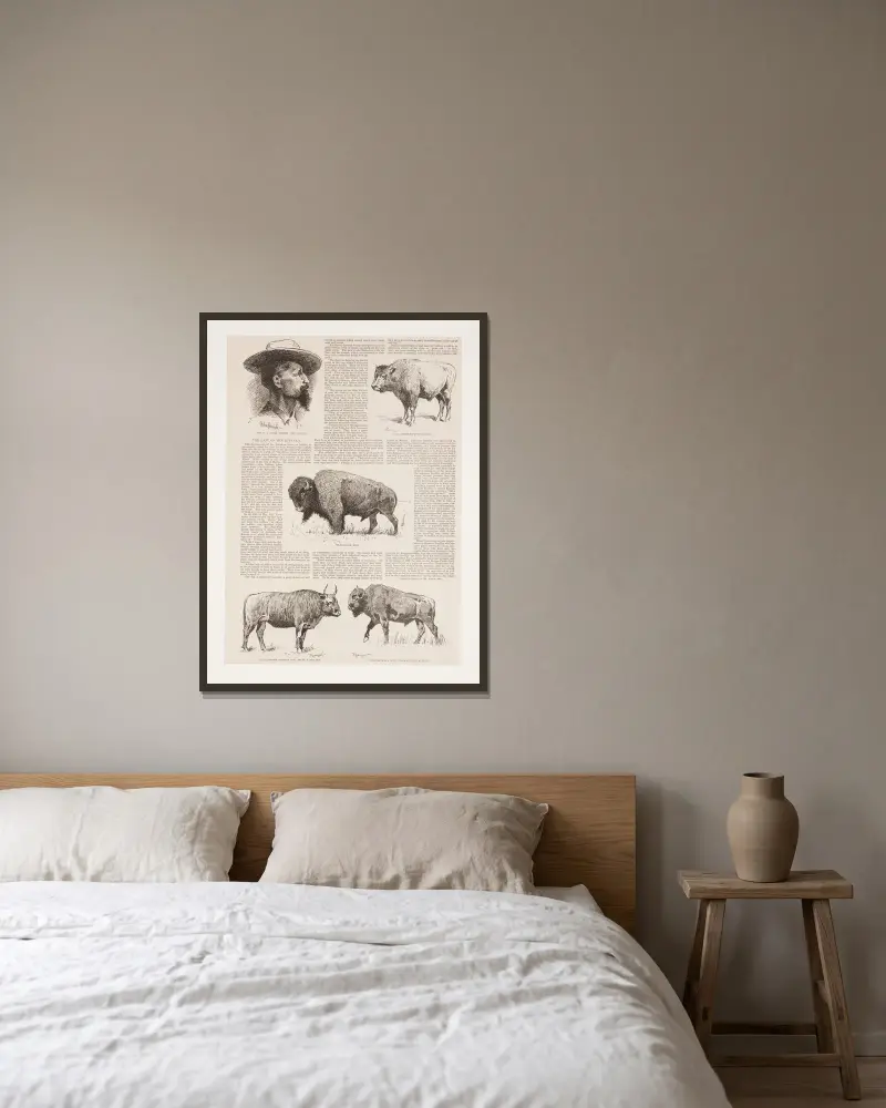 6 drawings of American buffalo and portrait of Ho.N.C.J. Jones, Garden City, Kansas av Frederic Remington inramad på en vägg