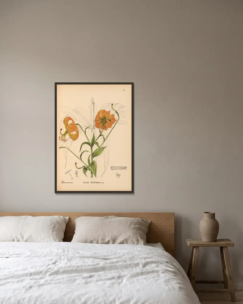 Medizinalpflanzen Taf. 078 von Charles Frederick Millspaugh gerahmt an einer Wand