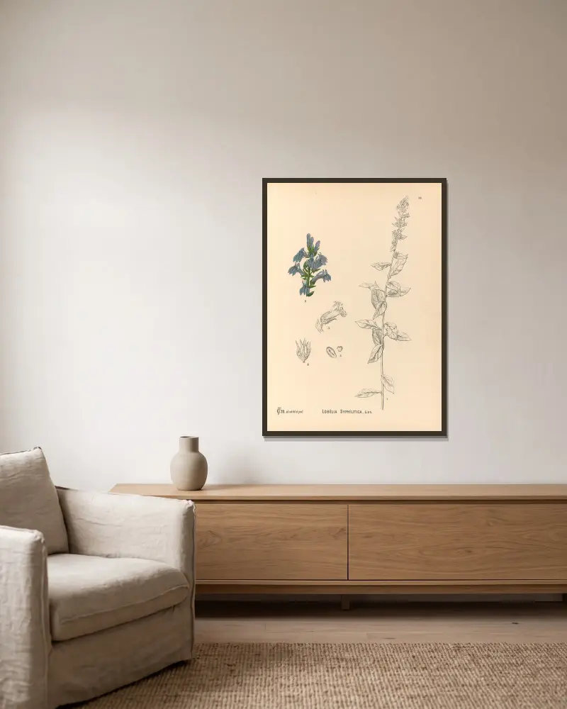 Medizinalpflanzen Taf. 092 von Charles Frederick Millspaugh gerahmt an einer Wand