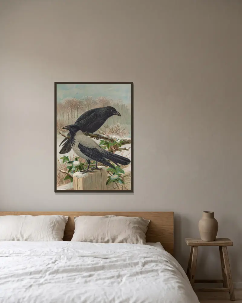 Corvus corone, Corvus cornix von Johann Friedrich Naumann gerahmt an einer Wand