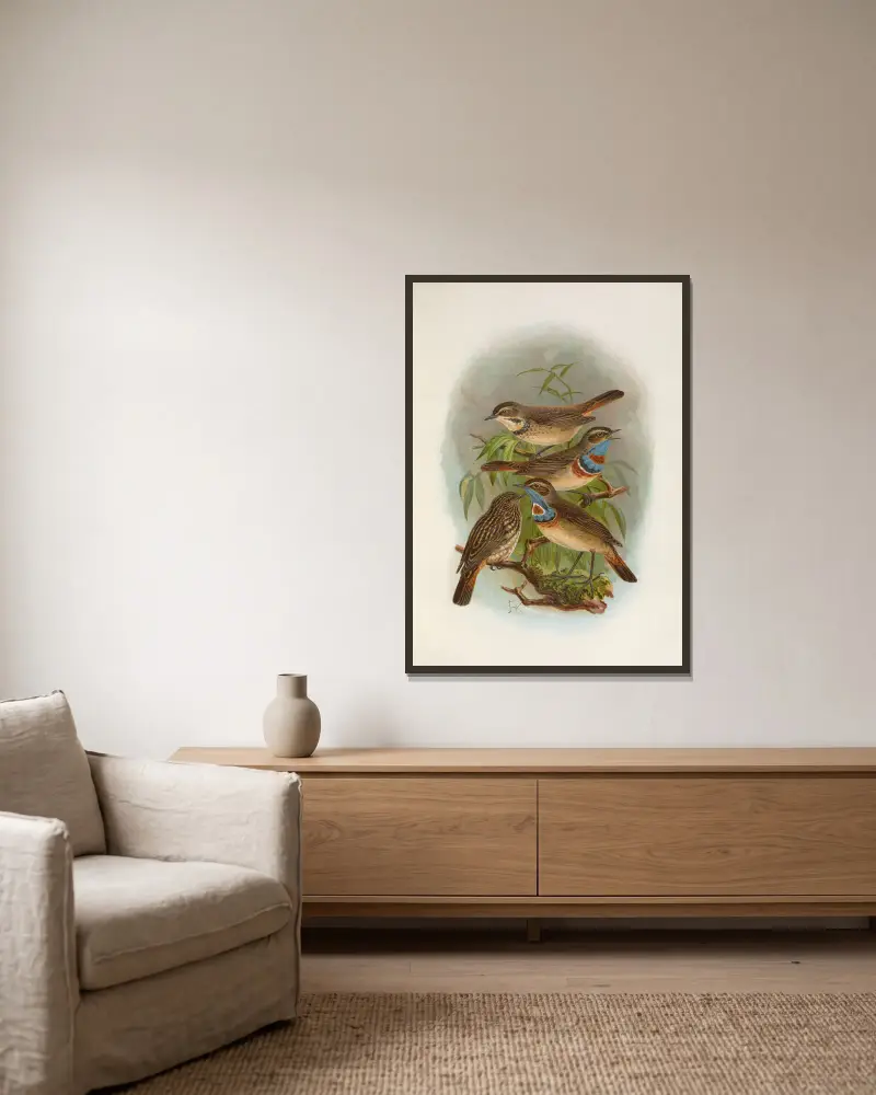 Erithacus suecicus von Johann Friedrich Naumann gerahmt an einer Wand