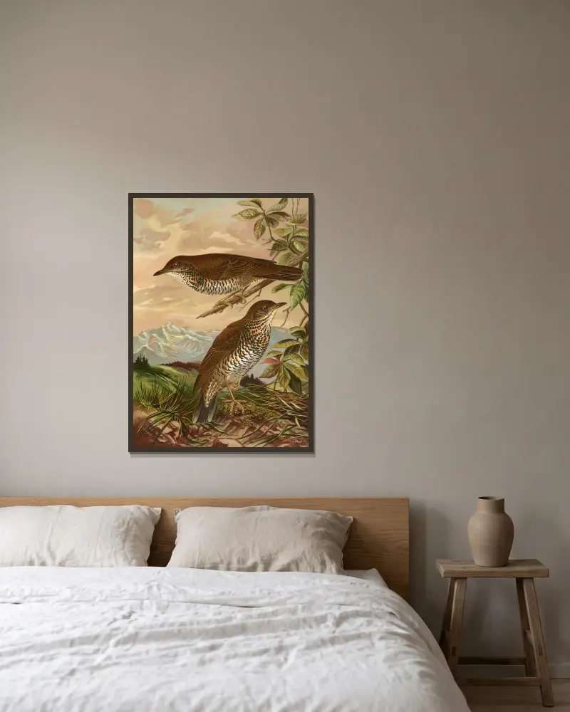 Geocichla mollissima av Johann Friedrich Naumann inramad på en vägg