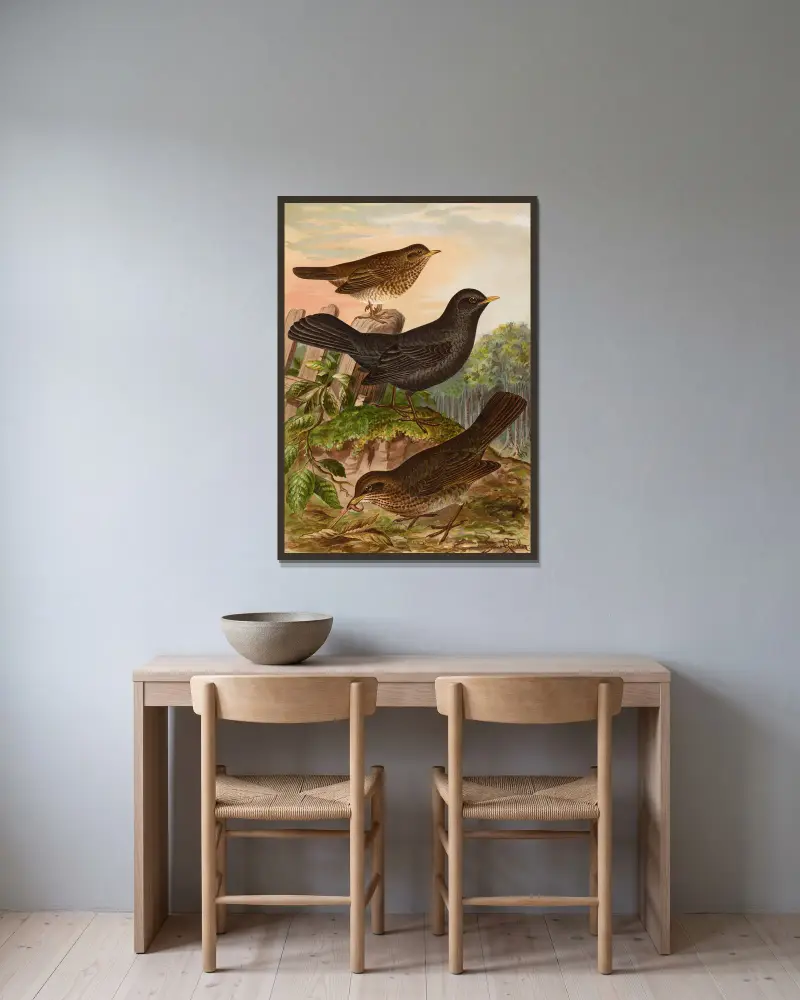 Turdus merula von Johann Friedrich Naumann gerahmt an einer Wand