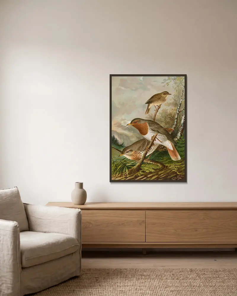 Turdus ruficollis av Johann Friedrich Naumann inramad på en vägg