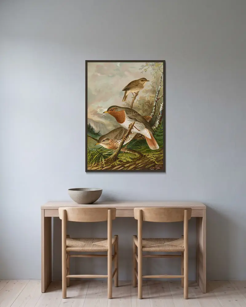 Turdus ruficollis av Johann Friedrich Naumann inramad på en vägg