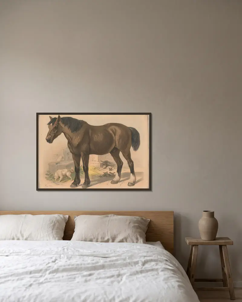 Kůň, Friedrich Specht v rámu na stěně
