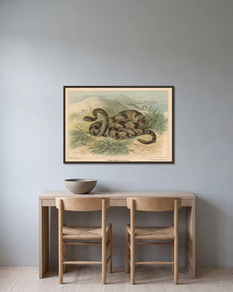 Chřestýš (Crotalus durissus), Friedrich Specht v rámu na stěně