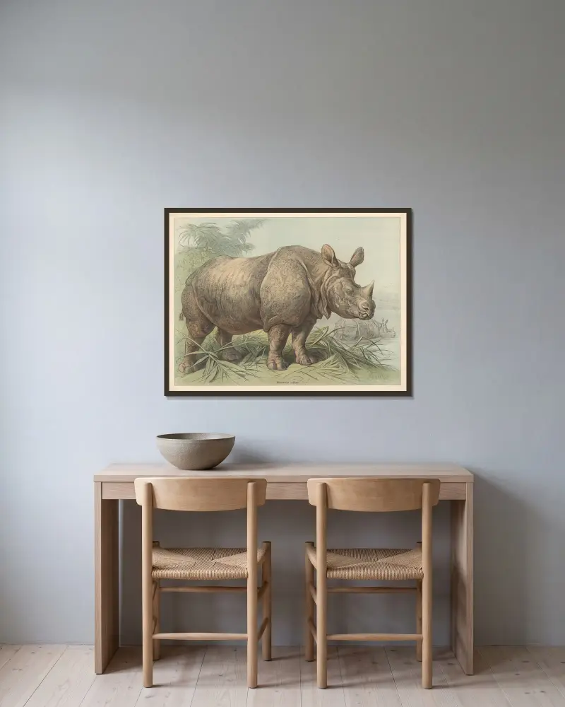Rhinoceros indicus von Friedrich Specht gerahmt an einer Wand