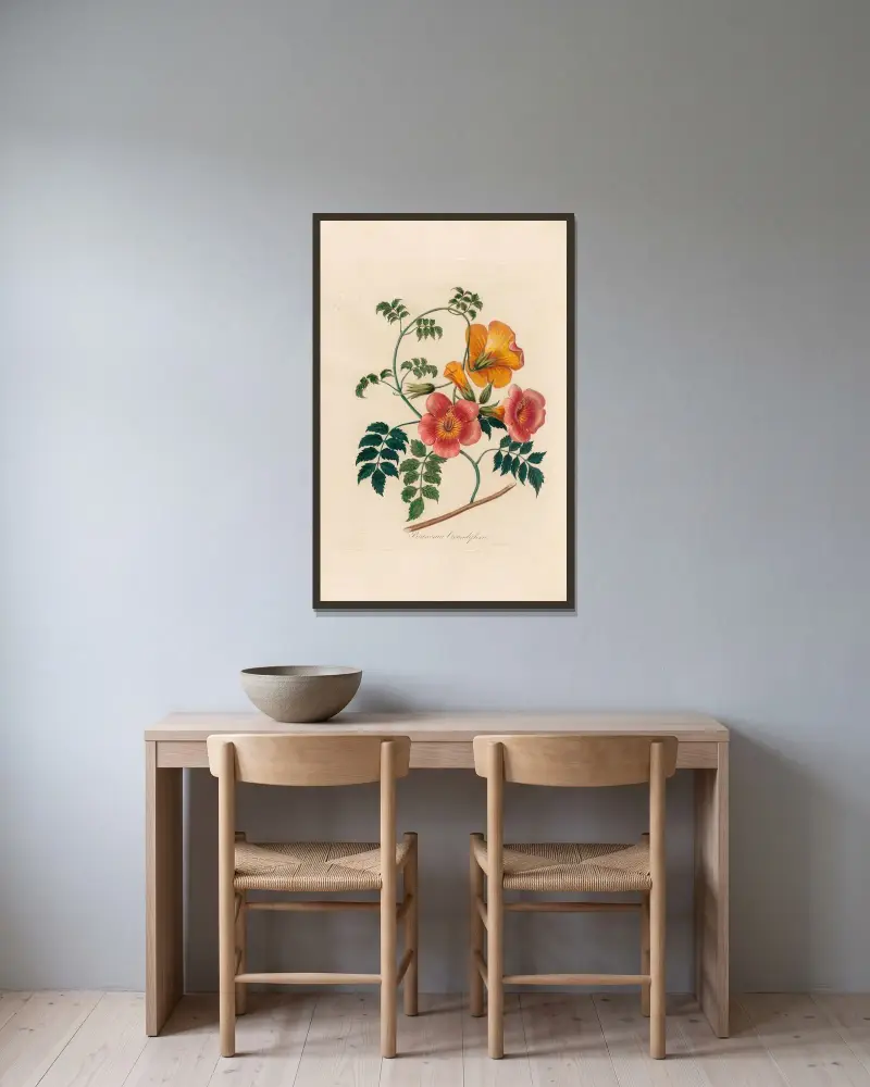 Bignonia Grandiflora av Gaetano Savi inramad på en vägg