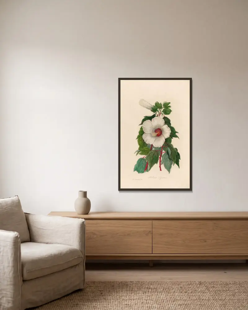 Hibiscus Aquaticus av Gaetano Savi inramad på en vägg