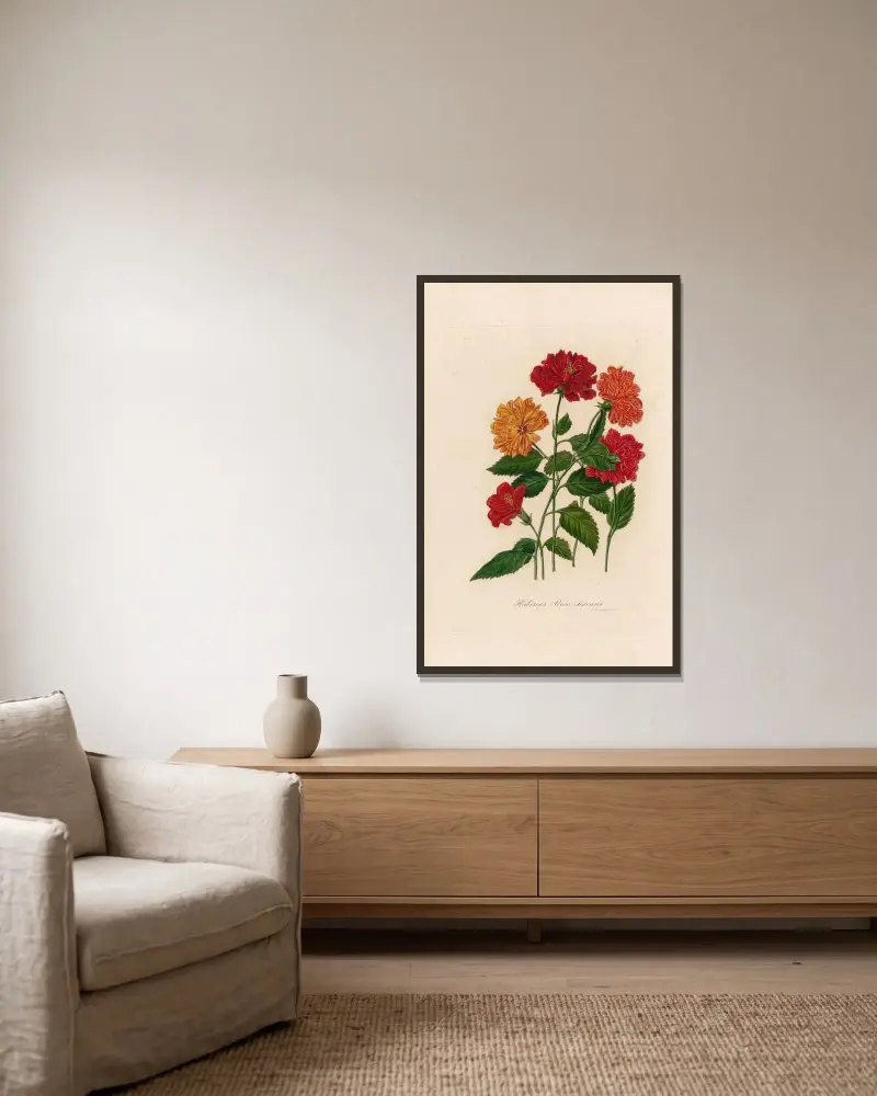Hibiscus Rosa sinensis av Gaetano Savi inramad på en vägg