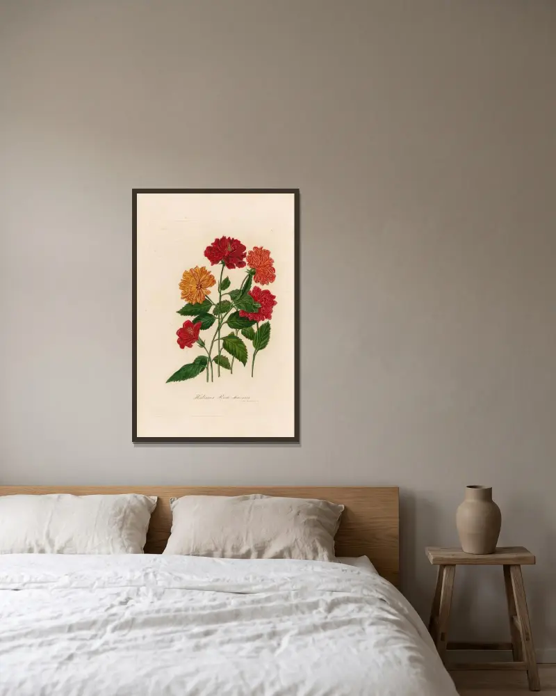 Hibiscus Rosa sinensis av Gaetano Savi inramad på en vägg