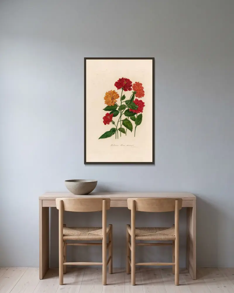 Hibiscus Rosa sinensis av Gaetano Savi inramad på en vägg