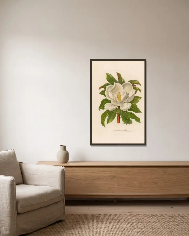 Magnolia grandiflora av Gaetano Savi inramad på en vägg