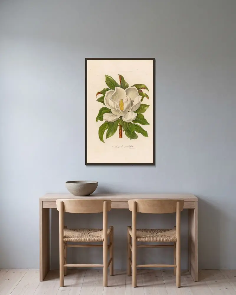Magnolia grandiflora av Gaetano Savi inramad på en vägg