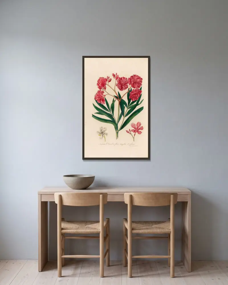 Nerium Oleander flore simplici et pleno av Gaetano Savi inramad på en vägg