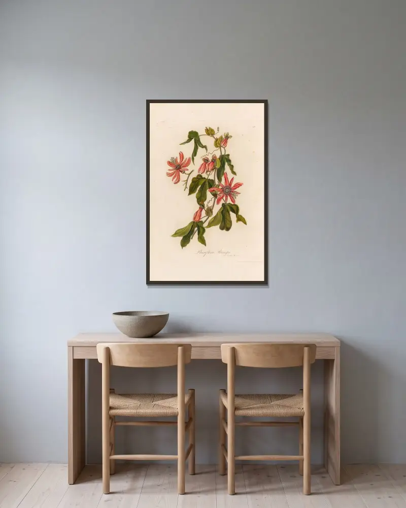Passiflora Princeps av Gaetano Savi inramad på en vägg
