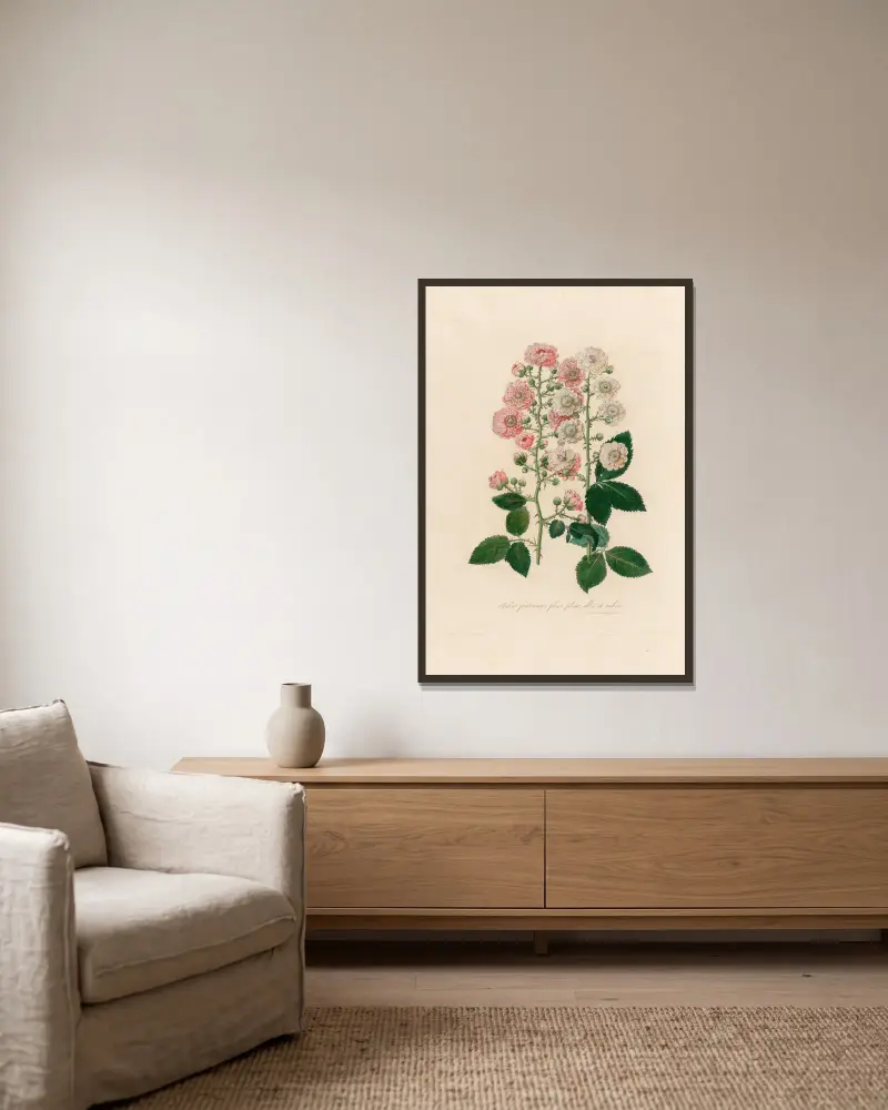 Rubus fruticosus flore pleno, albo et rubro av Gaetano Savi inramad på en vägg
