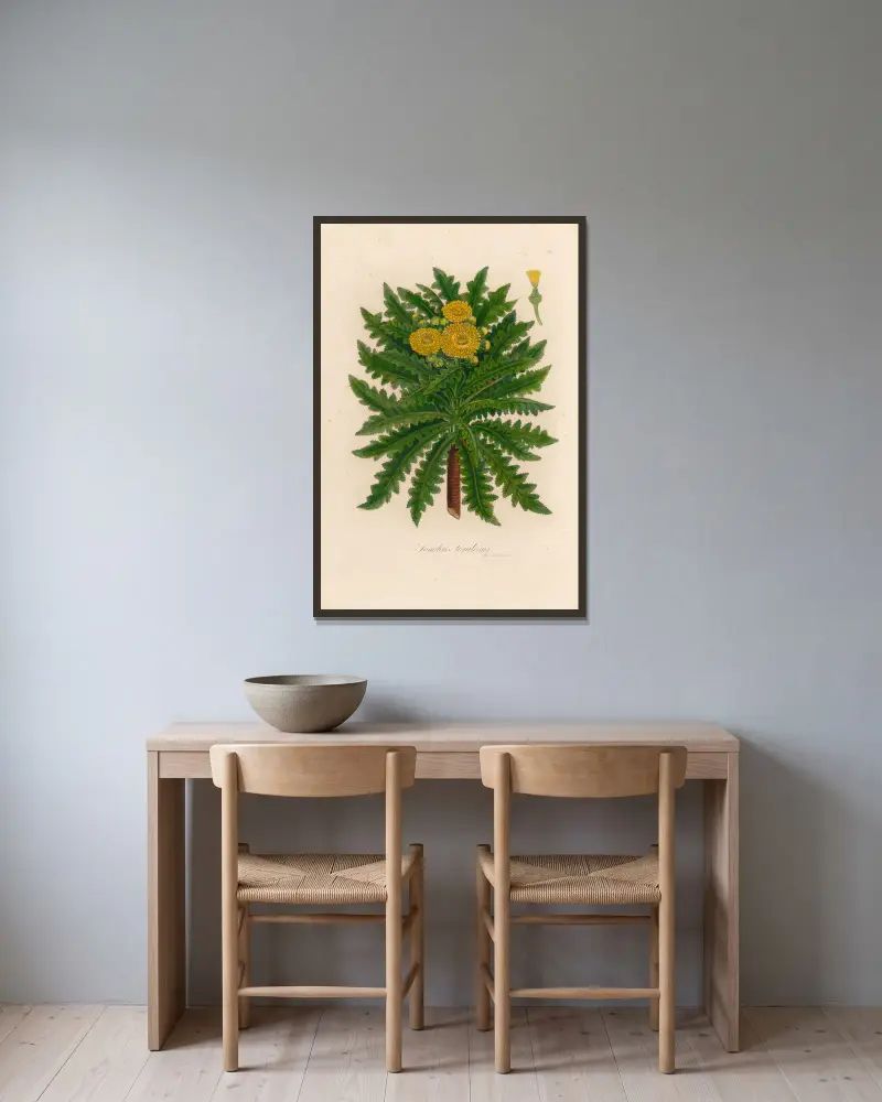 Sonchus torulosus von Gaetano Savi gerahmt an einer Wand