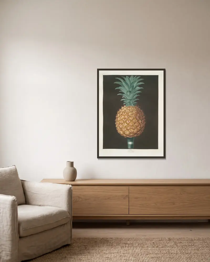 Black Antigua (jagged leaf) pine. von George Brookshaw gerahmt an einer Wand