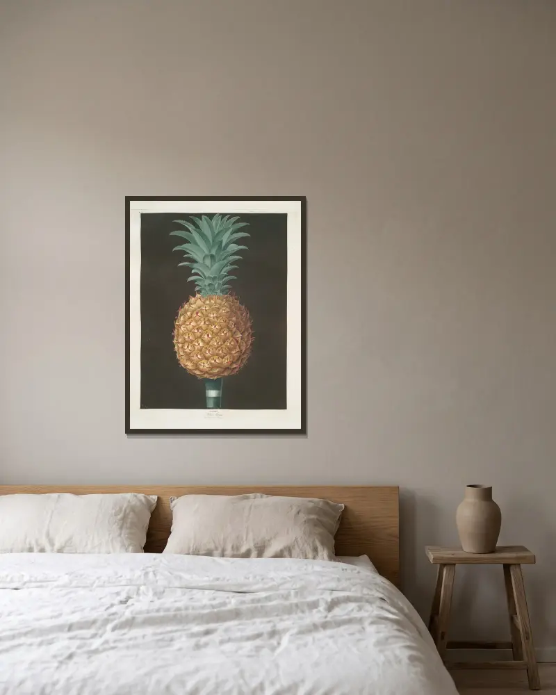 Black Antigua (jagged leaf) pine. von George Brookshaw gerahmt an einer Wand