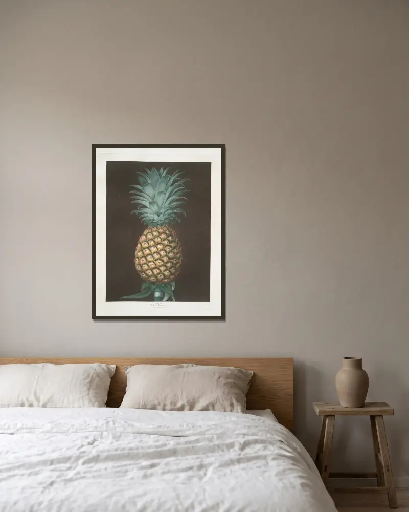 Black Jamaica (Ananas) von George Brookshaw gerahmt an einer Wand