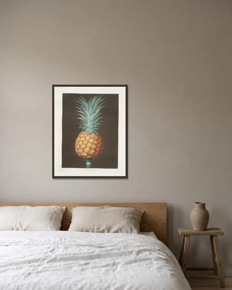 Brown Havannah pine av George Brookshaw inramad på en vägg