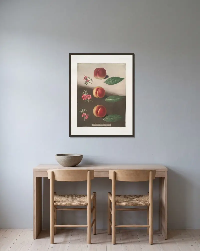 Millet’s minion, Super royal and the Double swalsh peaches. av George Brookshaw inramad på en vägg