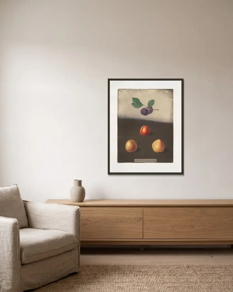 Prune, Common and White damson, and the White imperatrice plums. av George Brookshaw inramad på en vägg