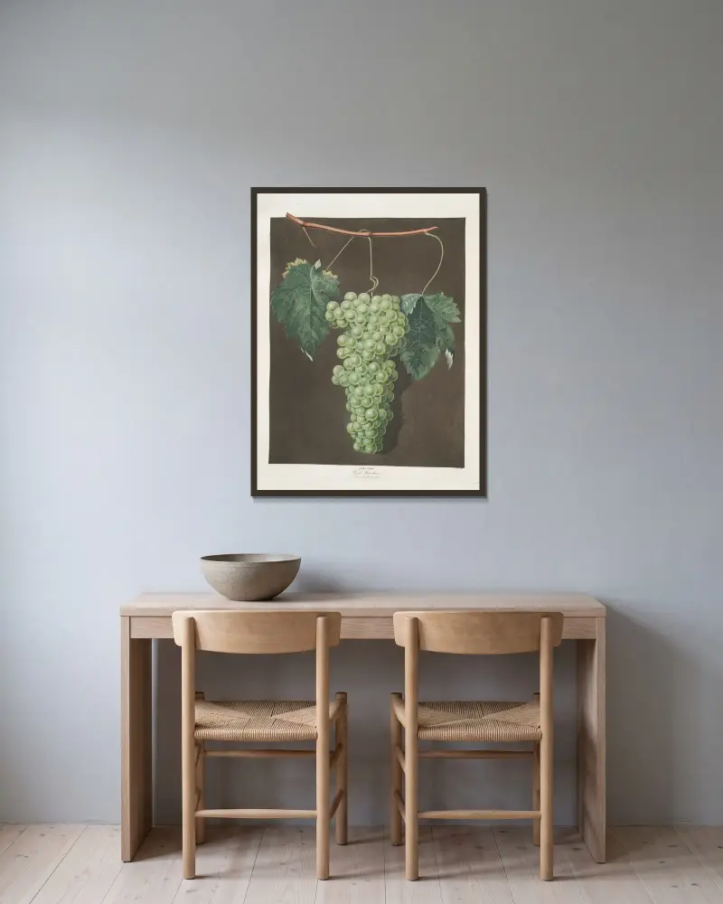 Royal muscadine (grapes). av George Brookshaw inramad på en vägg